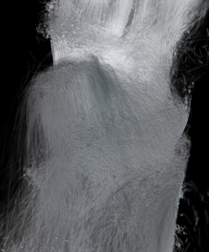 falling water 1