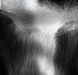 Falling Water Wide