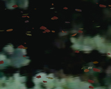 River leaves close