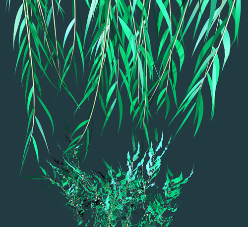 Willow 4