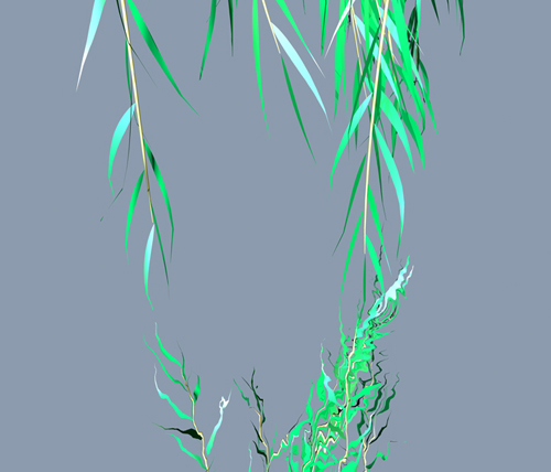 Willow 2