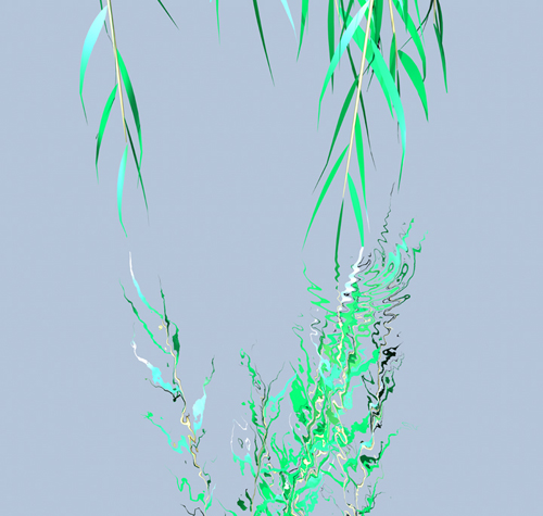Willow 2