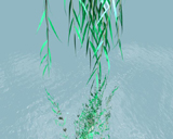 Ripple Reflection