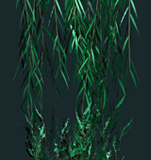 Willows: ripple reflection