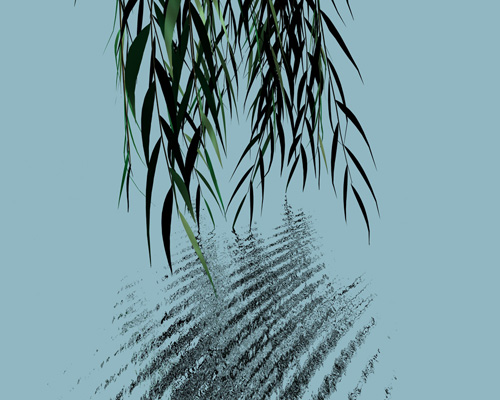 Willow 2