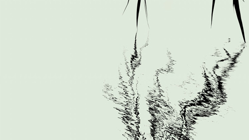 Willow 2