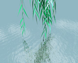 reflection 1